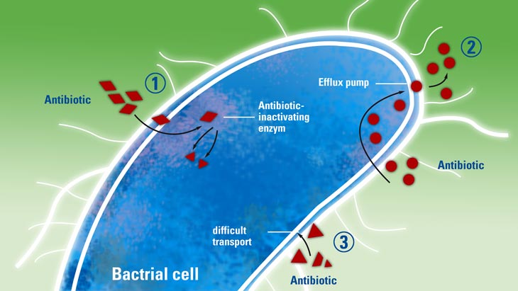 Antibiotika-Resistenz