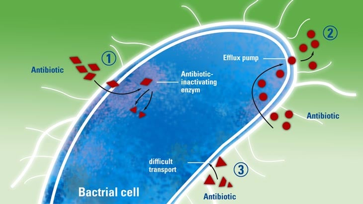 Antibiotic resistance