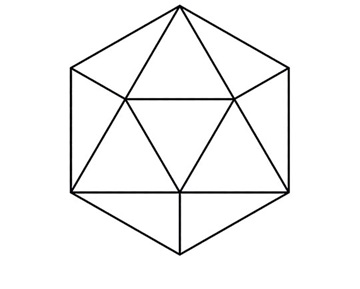 Capsid
