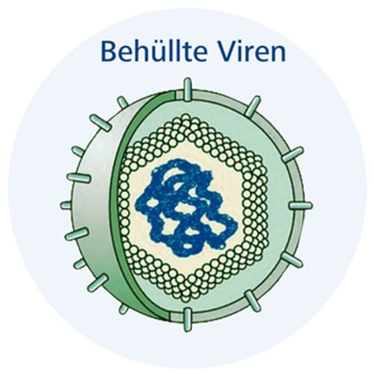 behüllte Viren