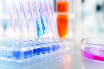 in vitro