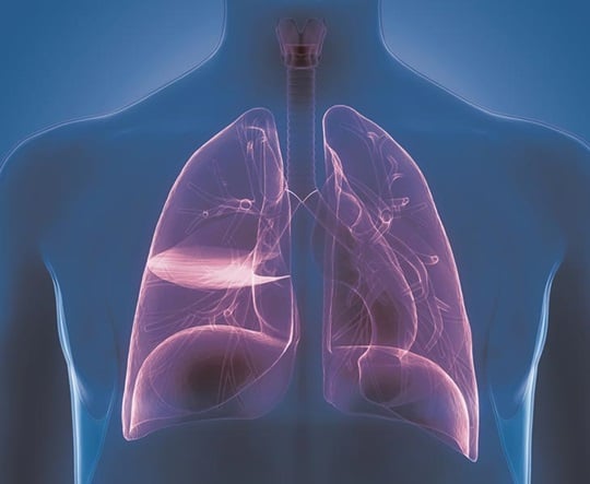 Lower respiratory tract infection | HARTMANN SCIENCE CENTER