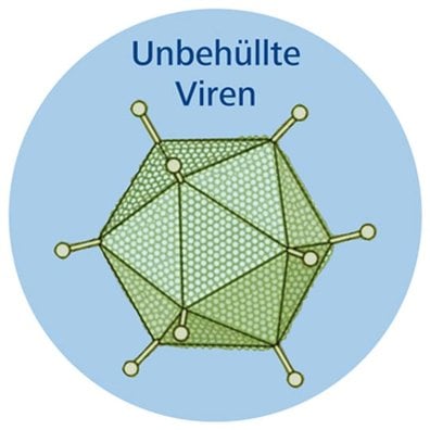 Unbehüllte Viren