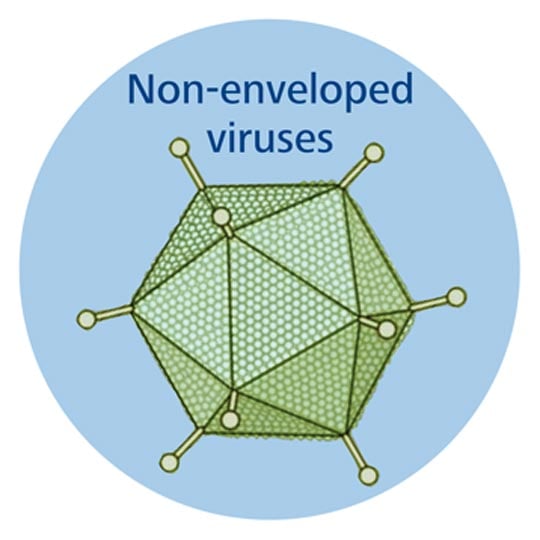 Nonenveloped viruses