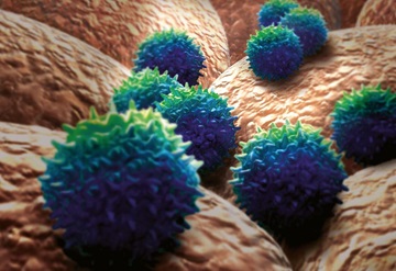 Norovirus (Norwalk-like virus)