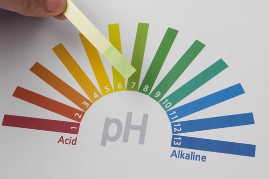 pH value