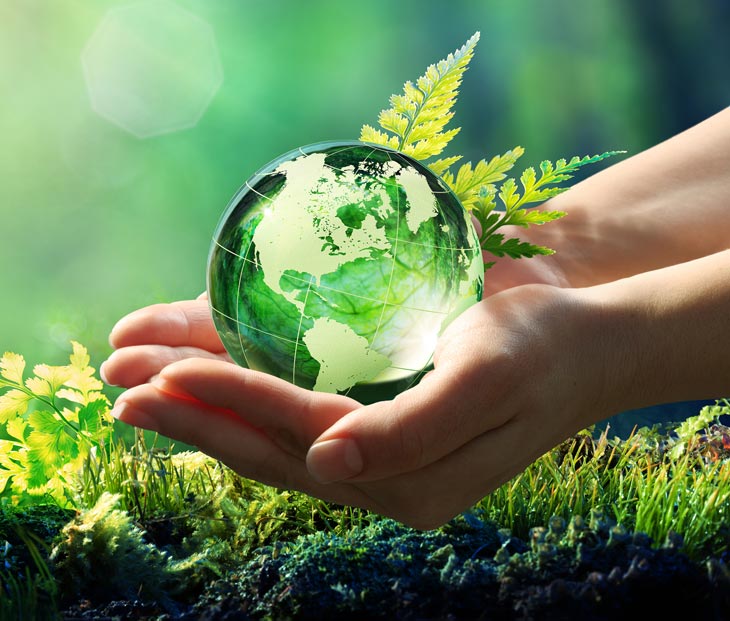 Readily biodegradable