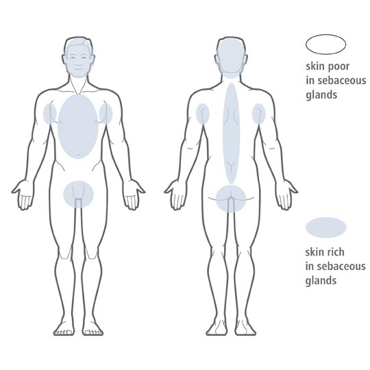 talgdrüsenarme Haut
