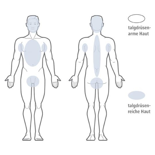 talgdrüsenarme Haut