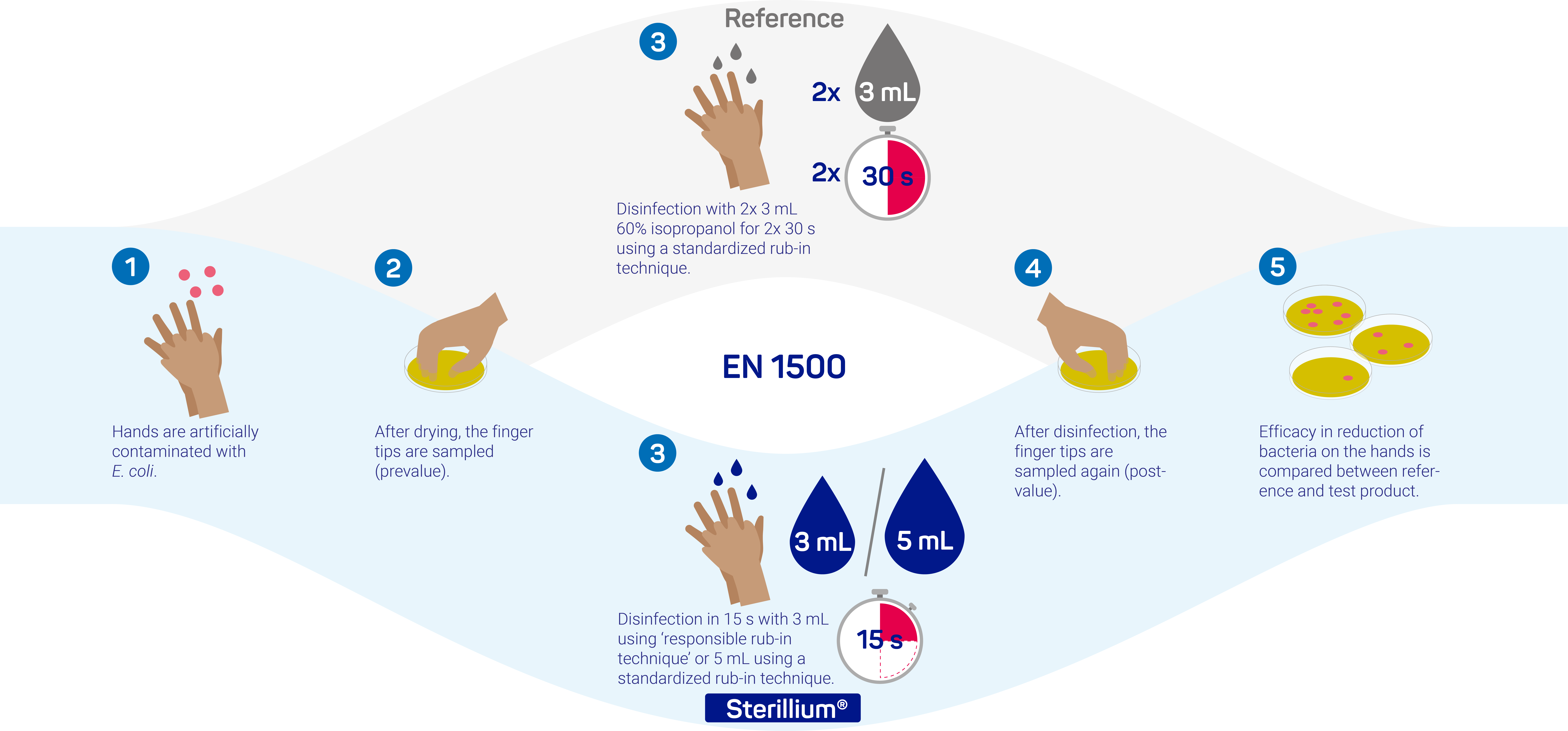 Schematic representation of testing of Sterillium products according to EN 1500. in 15 seconds.