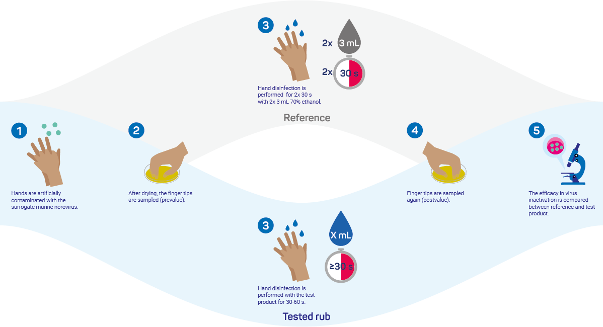 Schematic representation of efficacy testing according to EN 17430