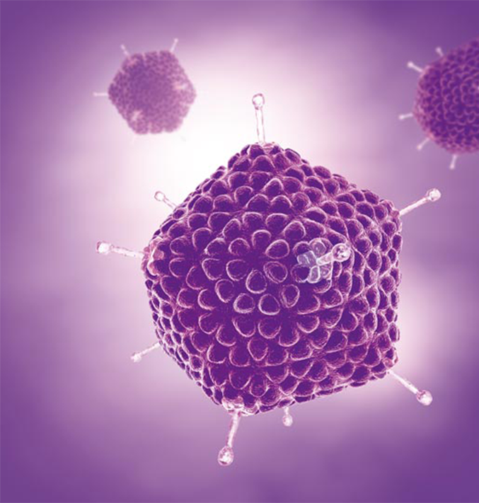 Hepatitis E Virus