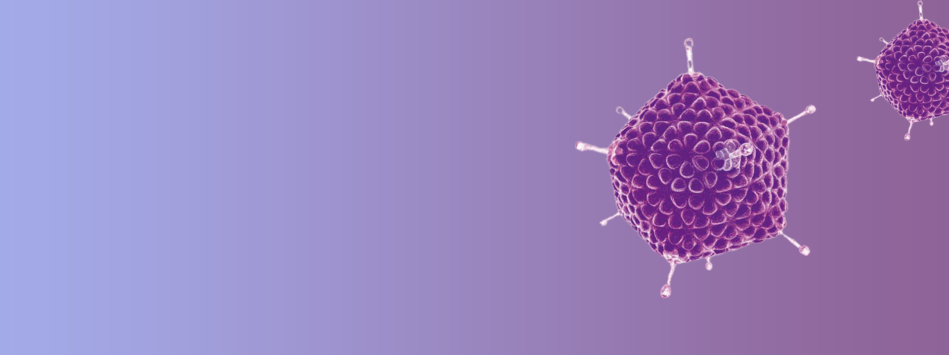 Hepatitis E Virus