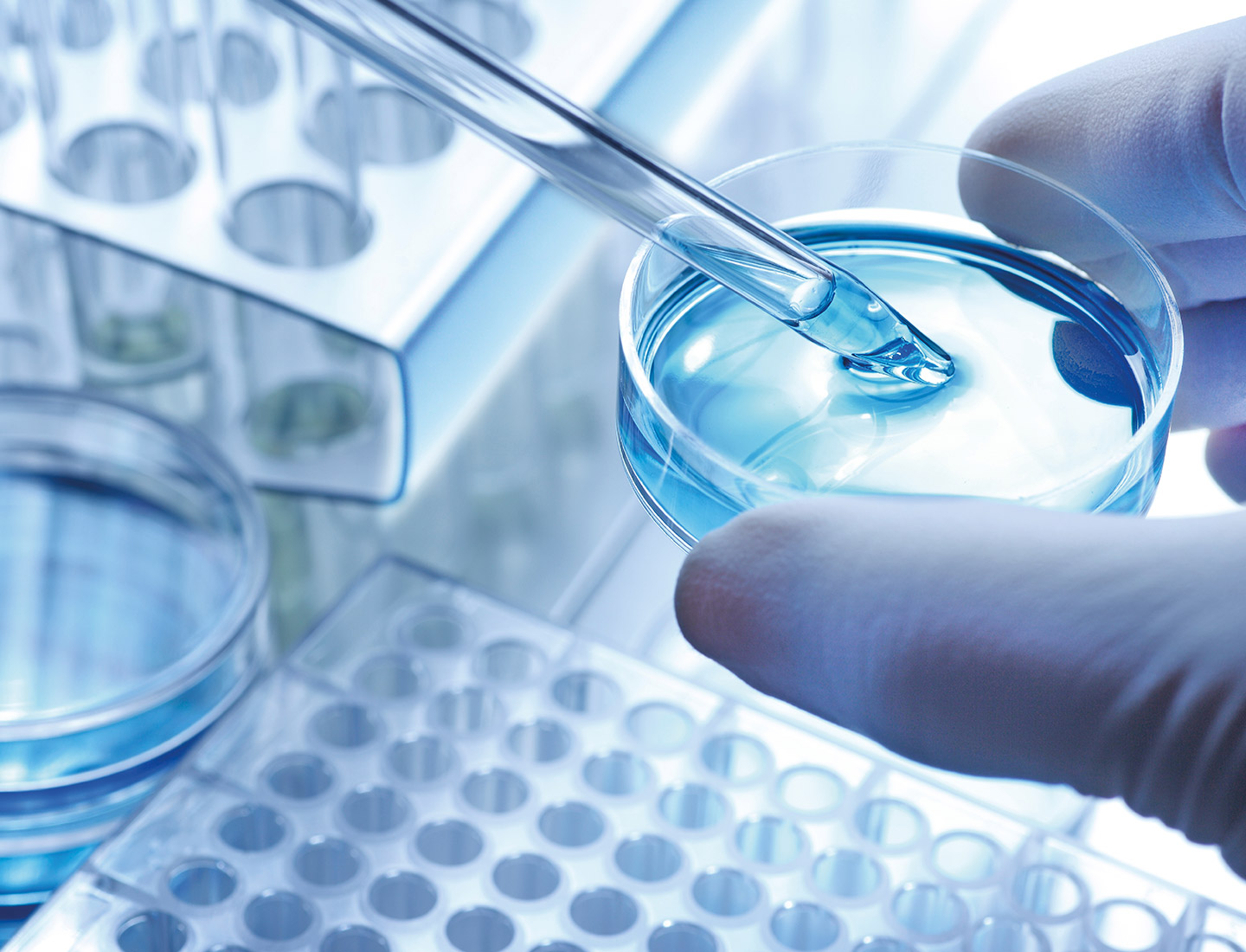 Pipette in einer Petrischale