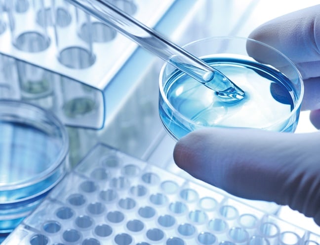 Humanes Herpesvirus 6 (HHV6) HARTMANN SCIENCE CENTER