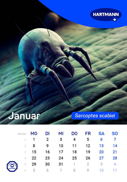 Kalender für relevante Erreger Januar