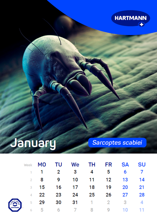 Calendar of the spread of relevant pathogens January