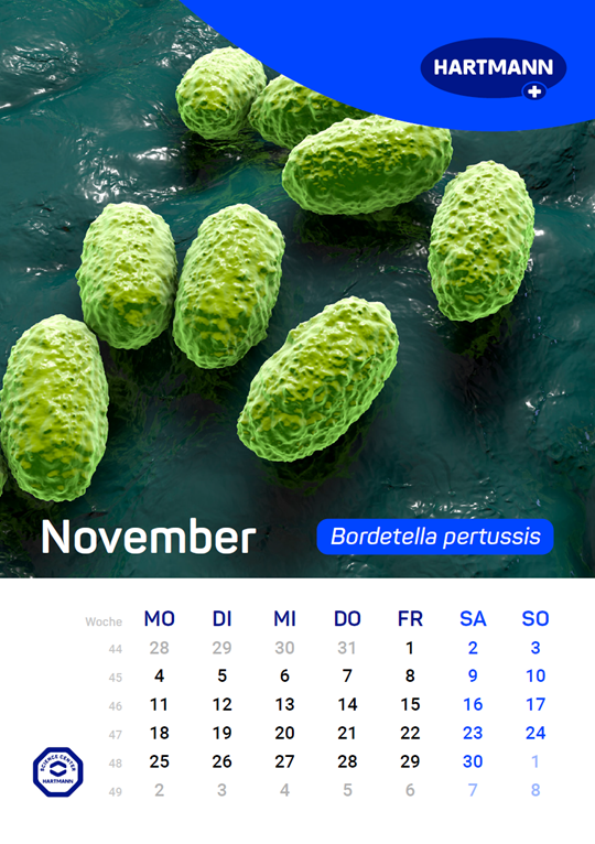 Kalender für relevante Erreger November
