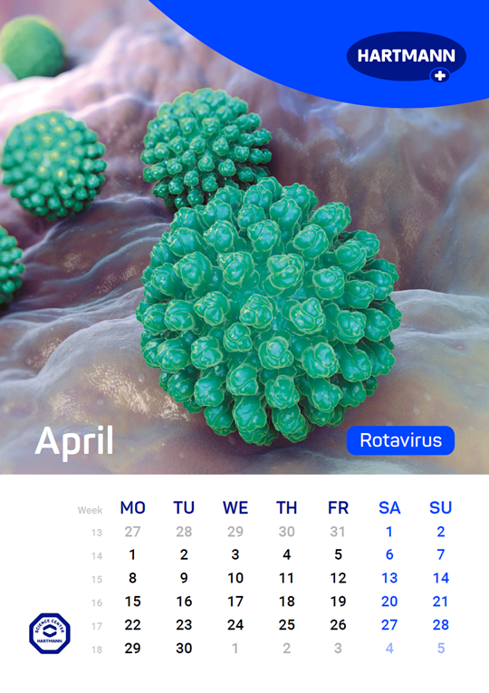 Calendar of the spread of relevant pathogens April