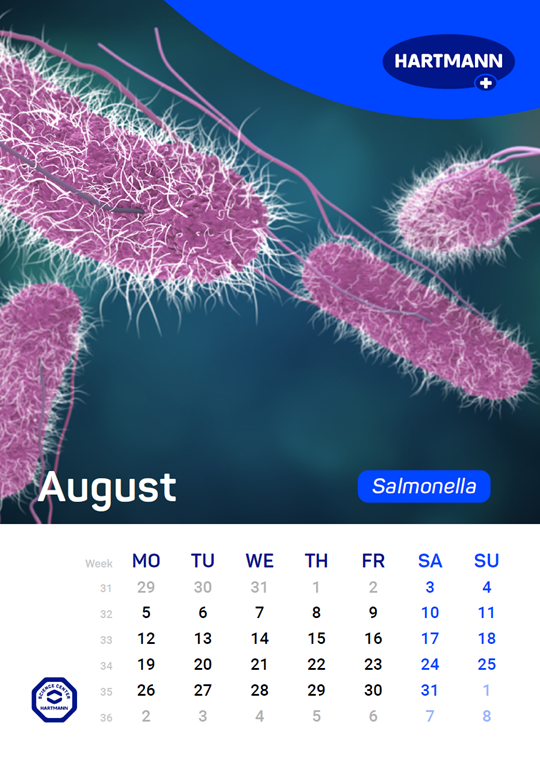 Calendar of the spread of relevant pathogens August