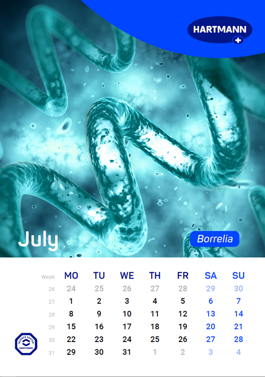 Calendar of the spread of relevant pathogens July