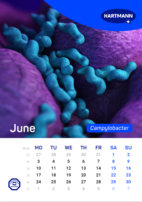 Calendar of the spread of relevant pathogens June