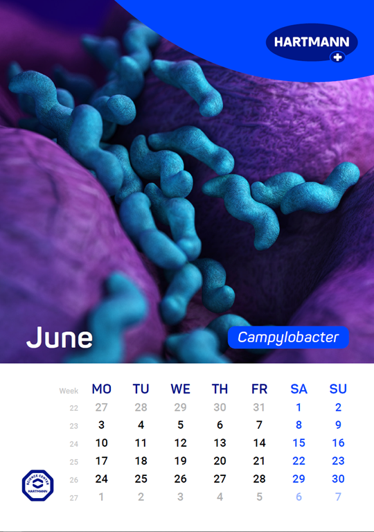 Calendar of the spread of relevant pathogens | HARTMANN SCIENCE CENTER