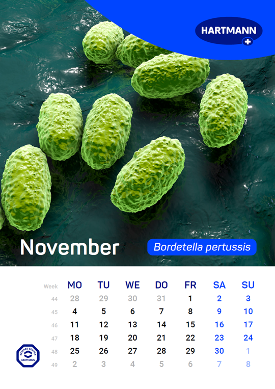 Calendar of the spread of relevant pathogens November