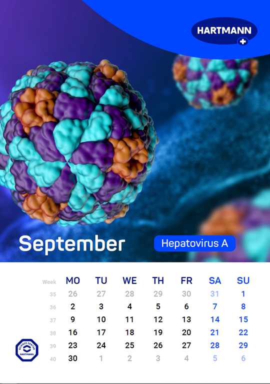 Calendar of the spread of relevant pathogens September