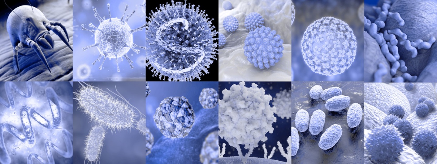 Calendar of the spread of relevant pathogens | HARTMANN SCIENCE CENTER