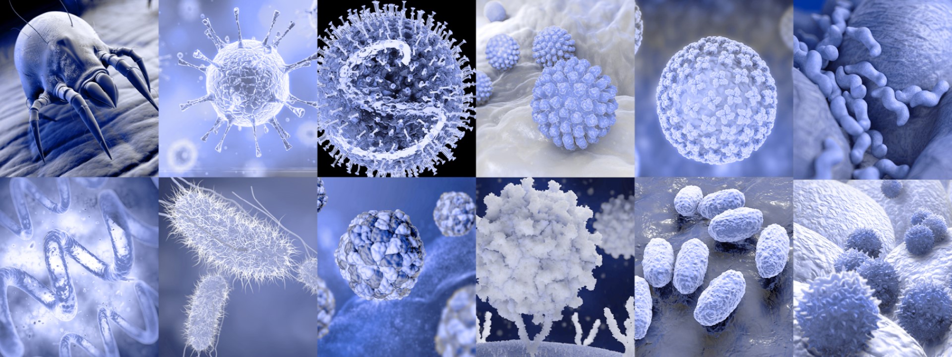 Calendar of the spread of relevant pathogens | HARTMANN SCIENCE CENTER
