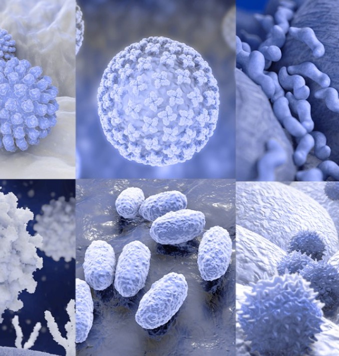 Various pathogens in squares
