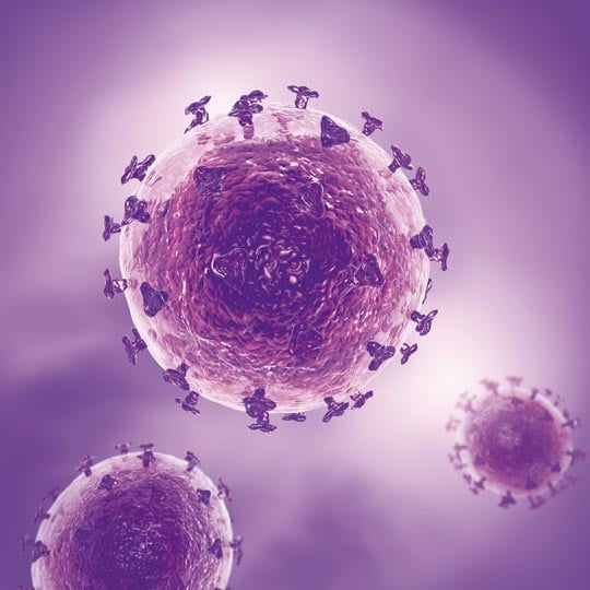 Enveloped viruses