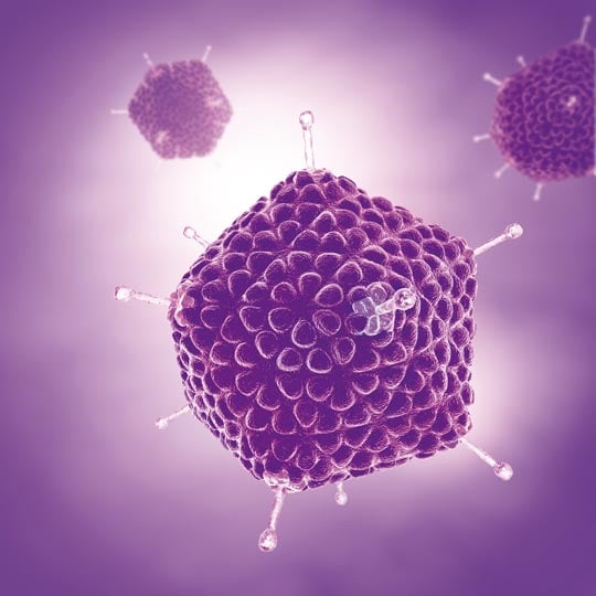 Unbehuelltes Virus