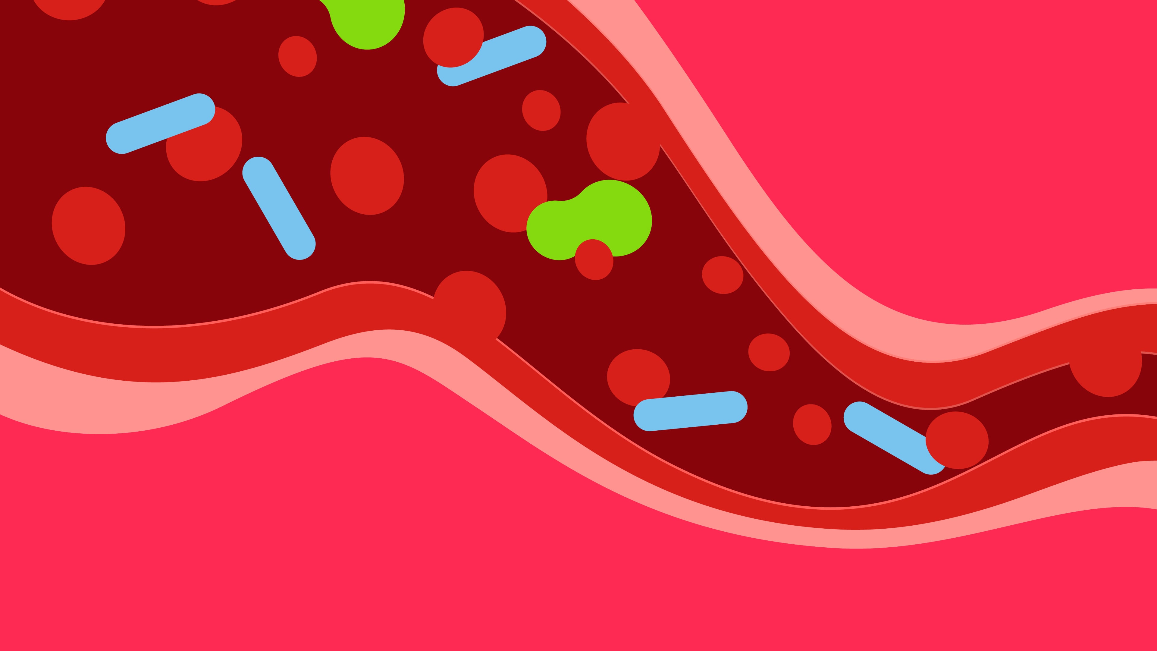 Illustration of a vein with blood platelets and viruses with a red background