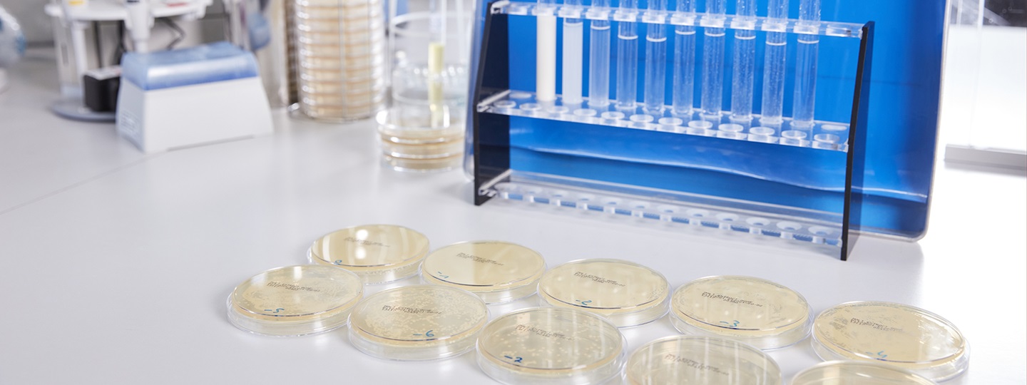 Pathogen search from A-Z | HARTMANN SCIENCE CENTER