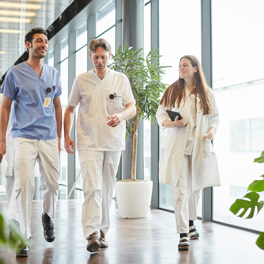 Healthcare professionals walking down a hospital corridor lined with plants