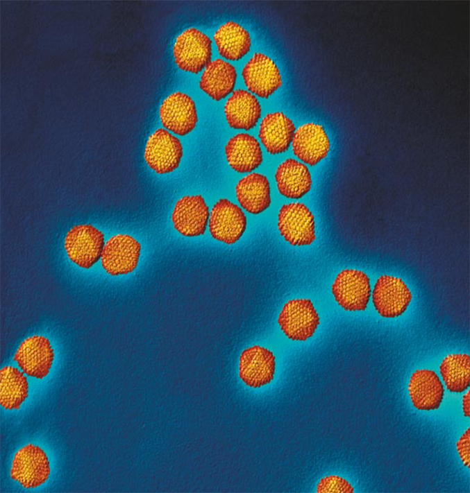 Hygienemaßnahmen bei Keratoconjunctivitis epidemica durch Adenoviren HSC