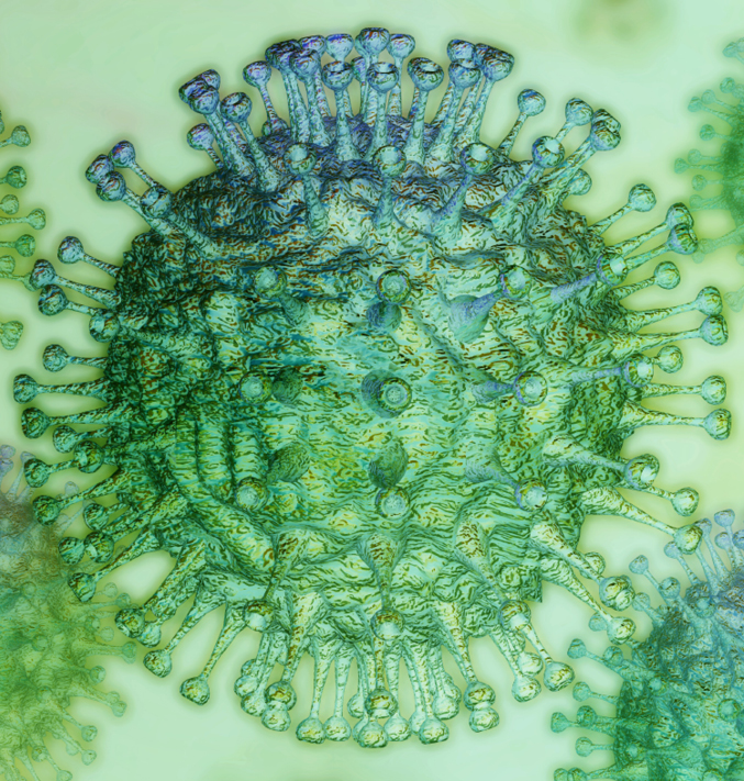 SARSCoV2 HARTMANN SCIENCE CENTER