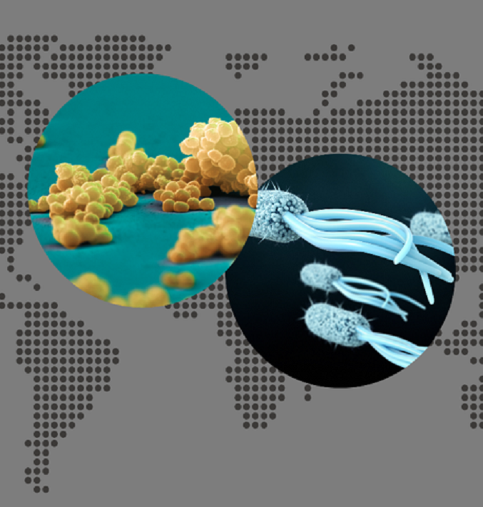 Multidrugresistant pathogens each year, more than 10 000 infections preventable through